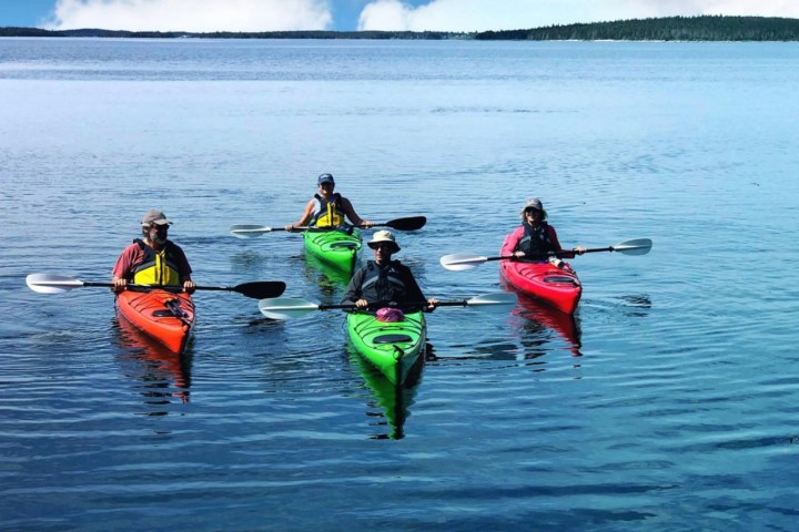 a group of people riding skis on a body of water